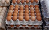 کاهش قیمت تخم مرغ در میادین میوه و تره بار